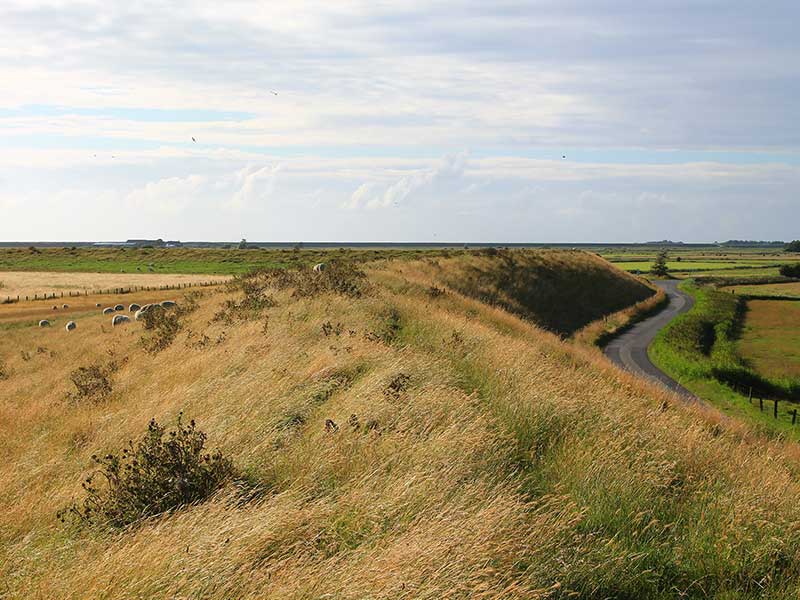 Der Gotteskoog, eine Landschaft im Wandel